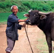 小型飼料顆粒機,農(nóng)民圓夢！